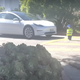 Image for article titled Tesla Wants Videos of Its EVs Running Childlike Dummies Over Taken Down Due to Inaccuracies